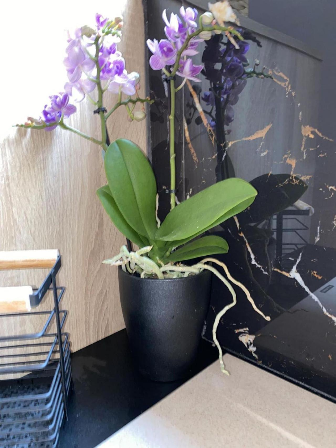 Efie'S Home Kalamata Ngoại thất bức ảnh